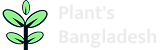 Plants Bangladesh