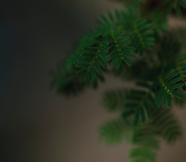 Banner 1